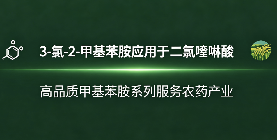 3-氯-2-甲基苯胺：二氯喹啉酸生产不可替代的核心中间体